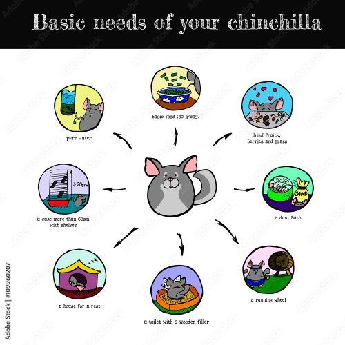 1000_F_109960207_88qKrAs5iHReGvWYlUGjbtc398G7TQaS